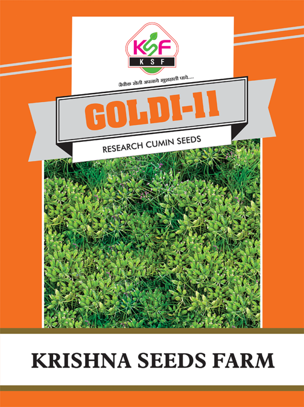 goldi 21 cumin seed